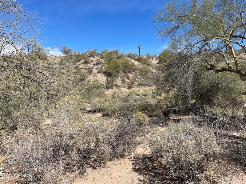 41XX3 N 276th Ave Lot 3, Morristown, AZ 85342