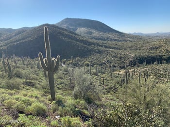 42000 Fleming Springs Rd #P, Cave Creek, AZ 85331