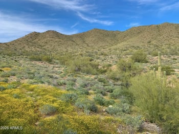 42001 N Bridlewood Way, Anthem, AZ 85086