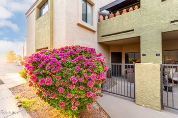 4201 20th St #115, Phoenix, AZ 85016