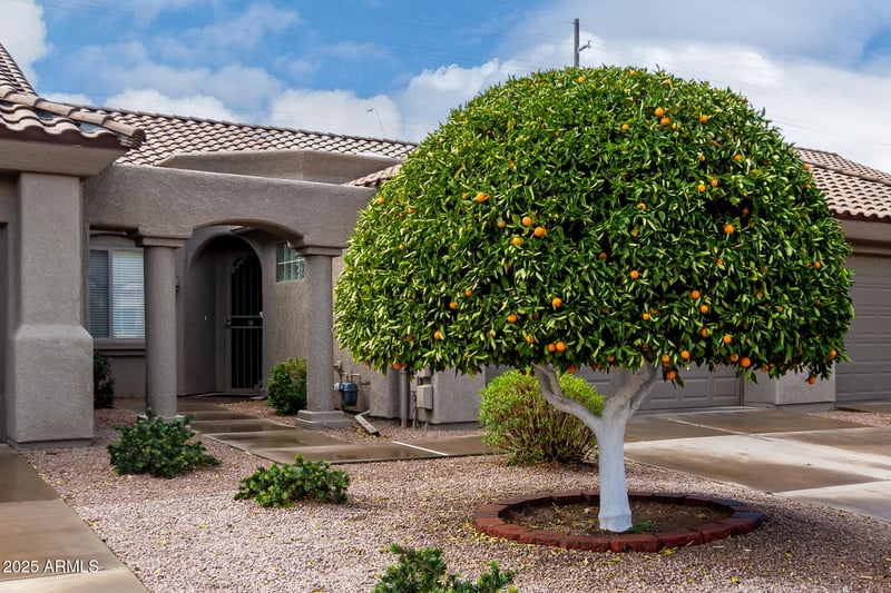 4202 Broadway Rd #93, Mesa, AZ 85206
