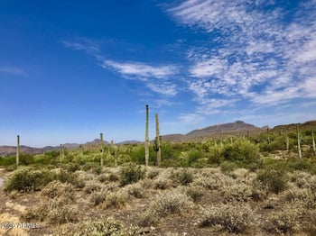 42023 N 72nd St #-, Cave Creek, AZ 85331