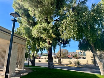 4212 Sandia St, Phoenix, AZ 85044