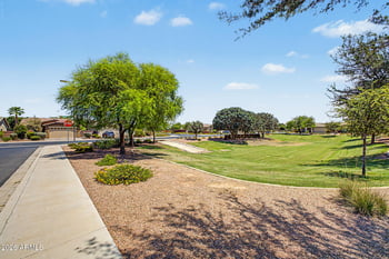 42163 Wollemi St, Queen Creek, AZ 85140