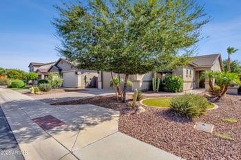 42175 Wollemi St, Queen Creek, AZ 85140