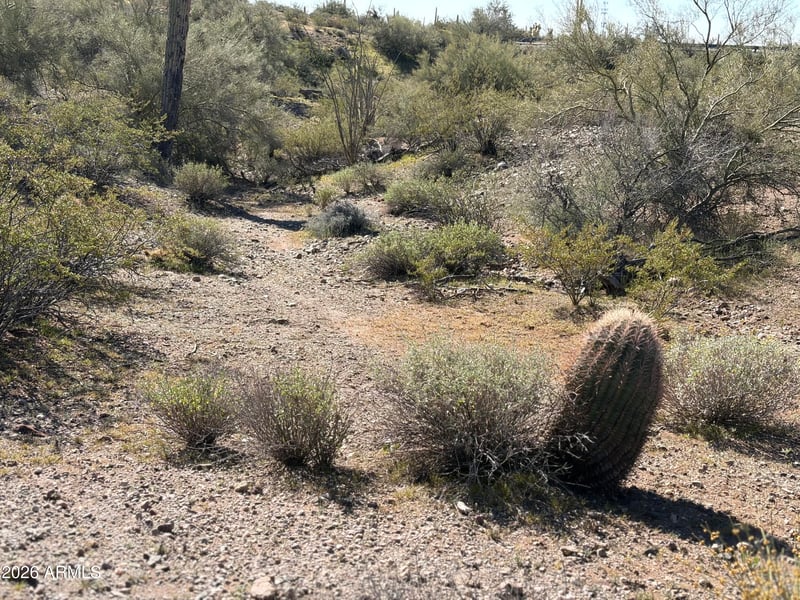 42215 261st Ave #-, Morristown, AZ 85342