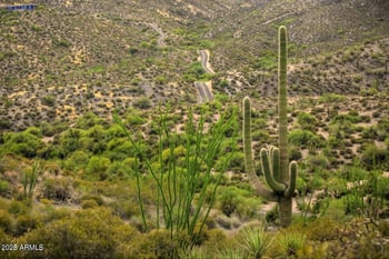 42242 Charbray Dr #25, Scottsdale, AZ 85262