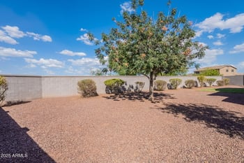 42247 Tulip Tree St, San Tan Valley, AZ 85140
