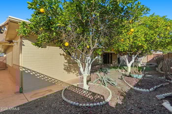 423 Racine --, Mesa, AZ 85206