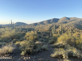 42382 Chiricahua Ps #318, Scottsdale, AZ 85262