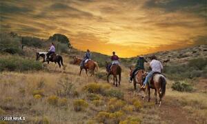 423rd N Of Bethany Home Rd #6, Tonopah, AZ 85354