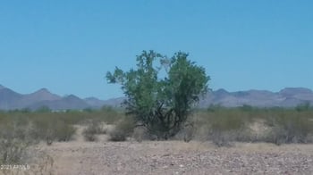 423rd Of Bethany Home Rd #6, Tonopah, AZ 85354