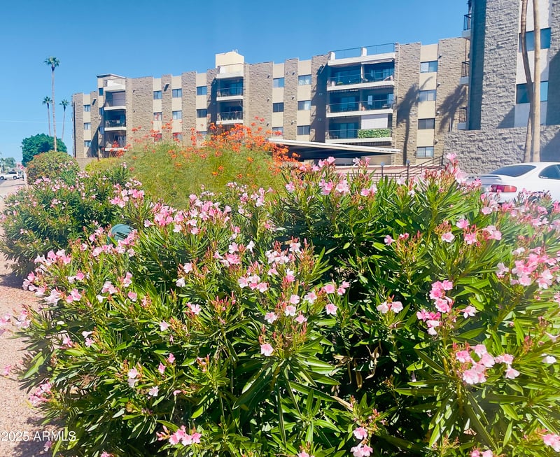 425 Parkcrest -- #322, Mesa, AZ 85206