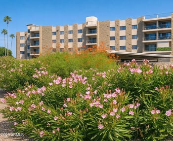 425 Parkcrest -- #322, Mesa, AZ 85206