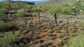 42500 N New River Rd #-, Phoenix, AZ 85086
