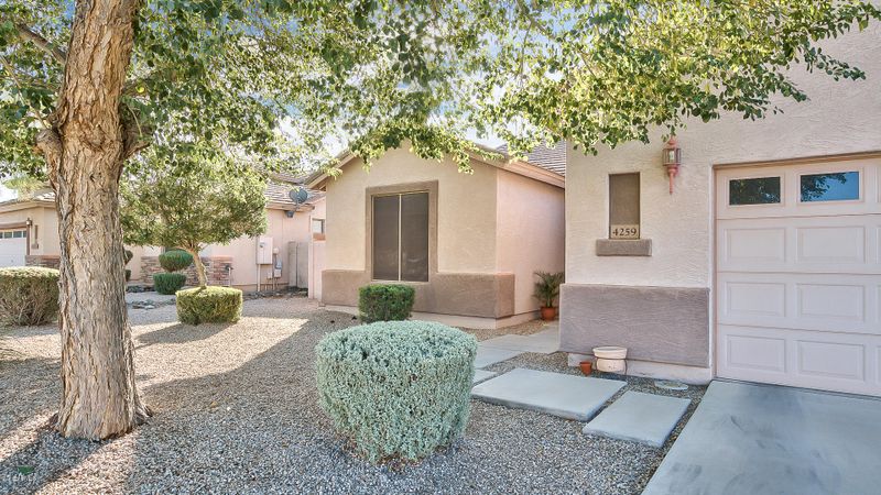 4259 E Harrison St, Gilbert, AZ 85295