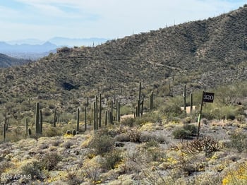 42597 Chiricahua Ps #320, Scottsdale, AZ 85262