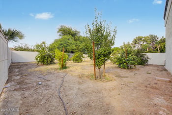 426 Horseshoe Ave, Gilbert, AZ 85296