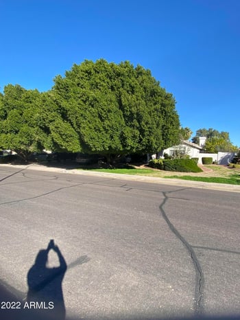 4260 E Encanto St, Mesa, AZ 85205