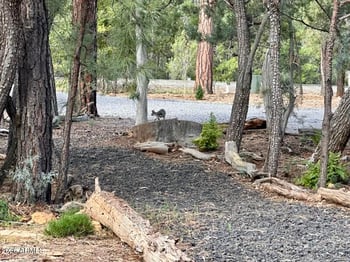 4260 Falling Leaf Rd, Show Low, AZ 85901