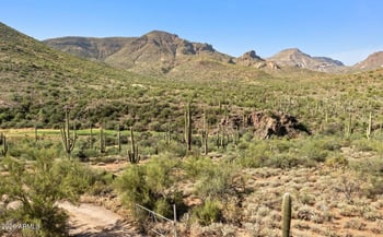 42650 52nd St, Cave Creek, AZ 85331