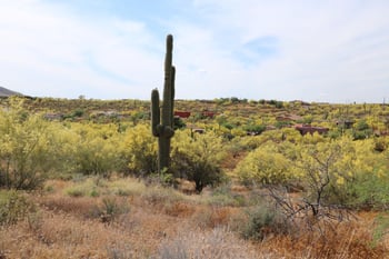 42652 N 22nd St #202-20-093M, New River, AZ 85087