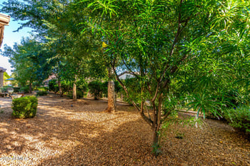 4271 Sourwood Dr, Gilbert, AZ 85298