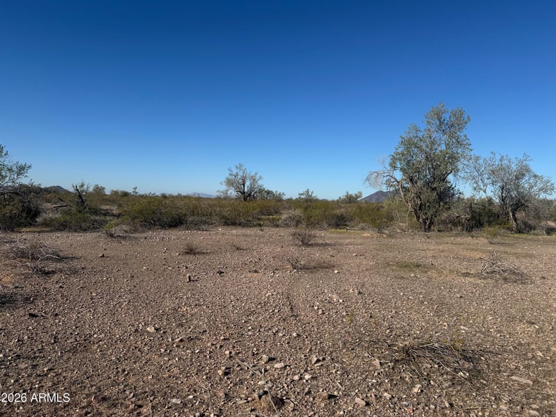 4275X Glendale Ave #8, Tonopah, AZ 85354