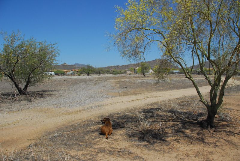 42805 N 7th Ave #-, New River, AZ 85087