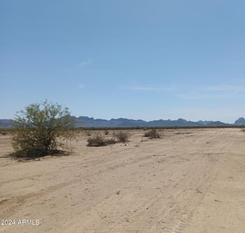 4291 489th Ave #-, Tonopah, AZ 85354