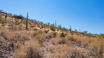 4292 Avenida De Angeles -- #42, Gold Canyon, AZ 85118