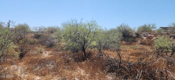 42XXX 7th Ave, New River, AZ 85087