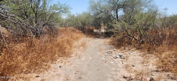 42XXX 7th Ave, New River, AZ 85087
