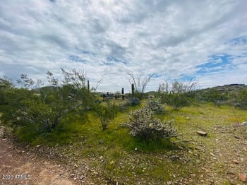 42XXX N 7th St #-, Phoenix, AZ 85086