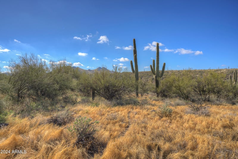 42XXX Old Stage Rd #_, Cave Creek, AZ 85331