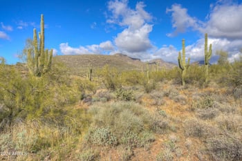 42XXX Old Stage Rd #_, Cave Creek, AZ 85331