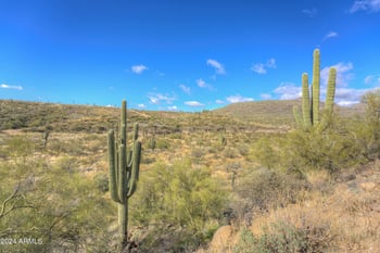 42XXX Old Stage Rd #_, Cave Creek, AZ 85331