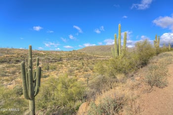 42XXX Old Stage Rd #_, Cave Creek, AZ 85331