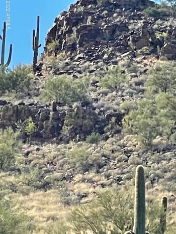43000 10th St, New River, AZ 85087