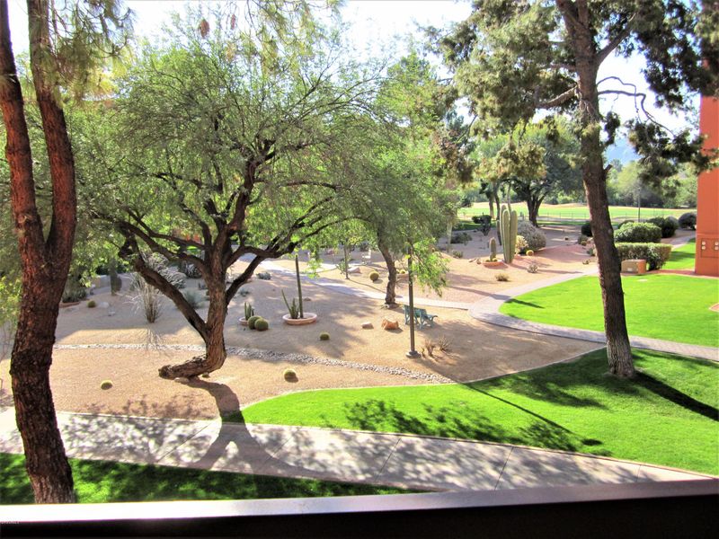 4303 E Cactus Rd #219, Phoenix, AZ 85032