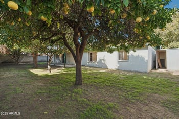 4323 Bloomfield Rd, Glendale, AZ 85304