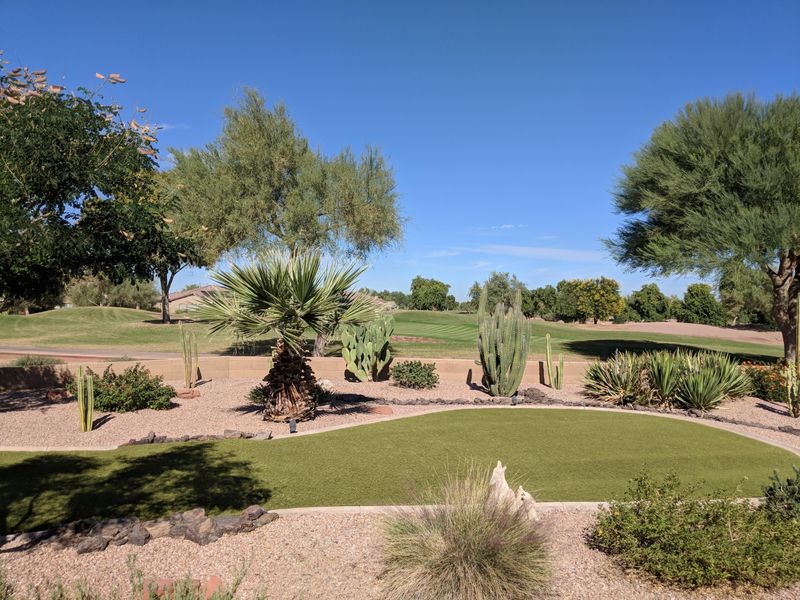 4338 E Ficus Way, Gilbert, AZ 85298