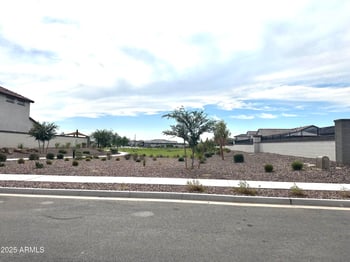 43429 Wollemi St, Queen Creek, AZ 85140