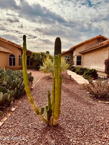 4349 Chuckwalla Cy, Phoenix, AZ 85044