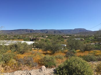 43518 11th Pl #-, New River, AZ 85087