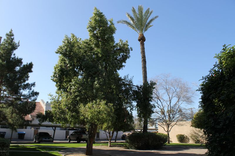 4368 N 36th St, Phoenix, AZ 85018