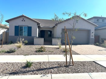 43741 Wollemi St, Queen Creek, AZ 85140