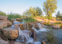 4390 White Dr, Chandler, AZ 85249