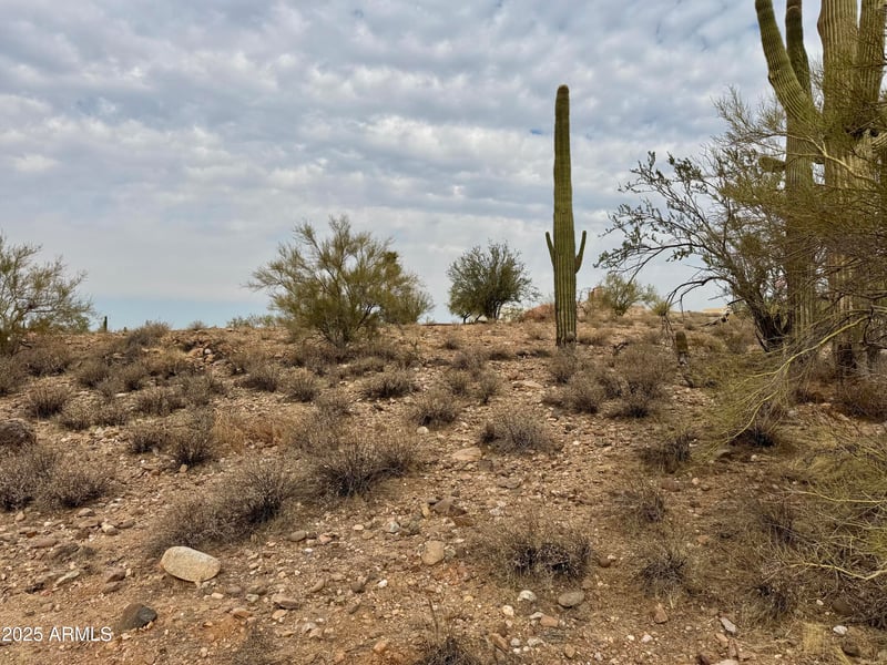 43925 N Saguaro Blossom Ln #-, Morristown, AZ 85342
