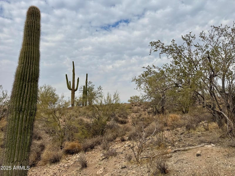 43925 Saguaro Blossom Ln #-, Morristown, AZ 85342